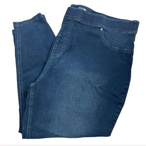 Terra & Sky Dark Blue Women's Jeggings